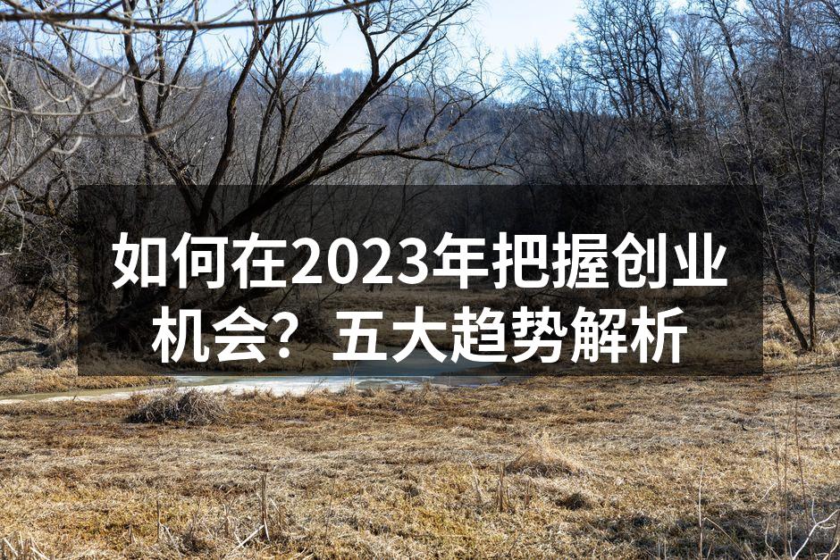 如何在2023年把握创业机会？五大趋势解析