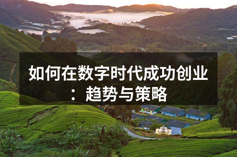 如何在数字时代成功创业：趋势与策略